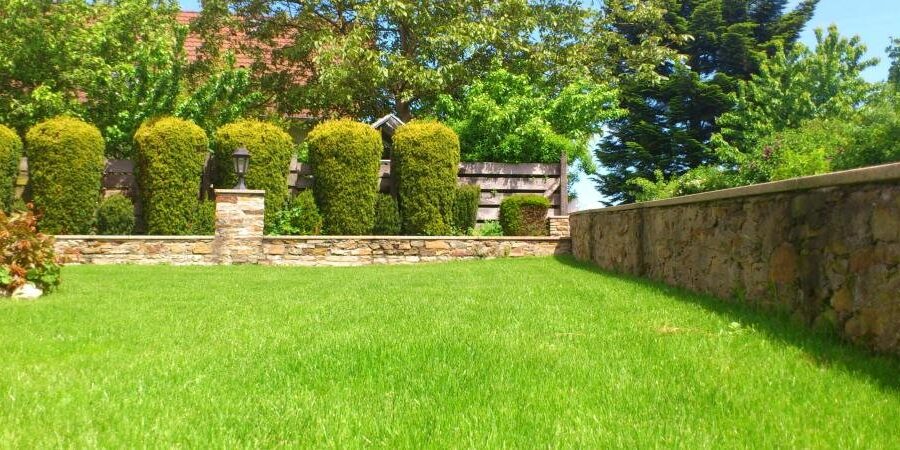 FALL LAWN CARE